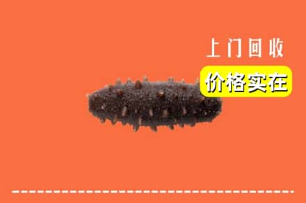 秦皇岛北戴河区回收海参