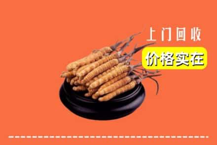秦皇岛北戴河区回收冬虫夏草
