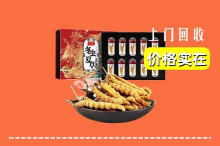 秦皇岛北戴河区回收虫草